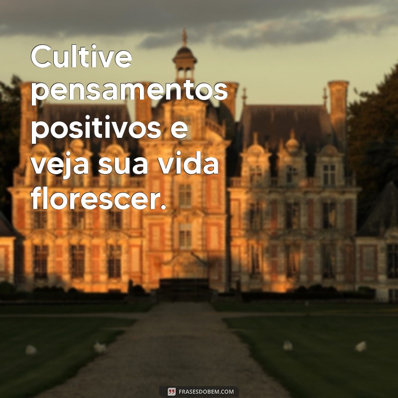 Frases Inspiradoras para Começar Seu Domingo com Positividade 