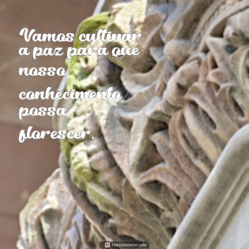 Frases Inspiradoras de Paz para Promover a Harmonia nas Escolas 