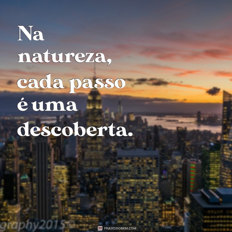 As Melhores Frases para Acompanhar Suas Fotos da Natureza 