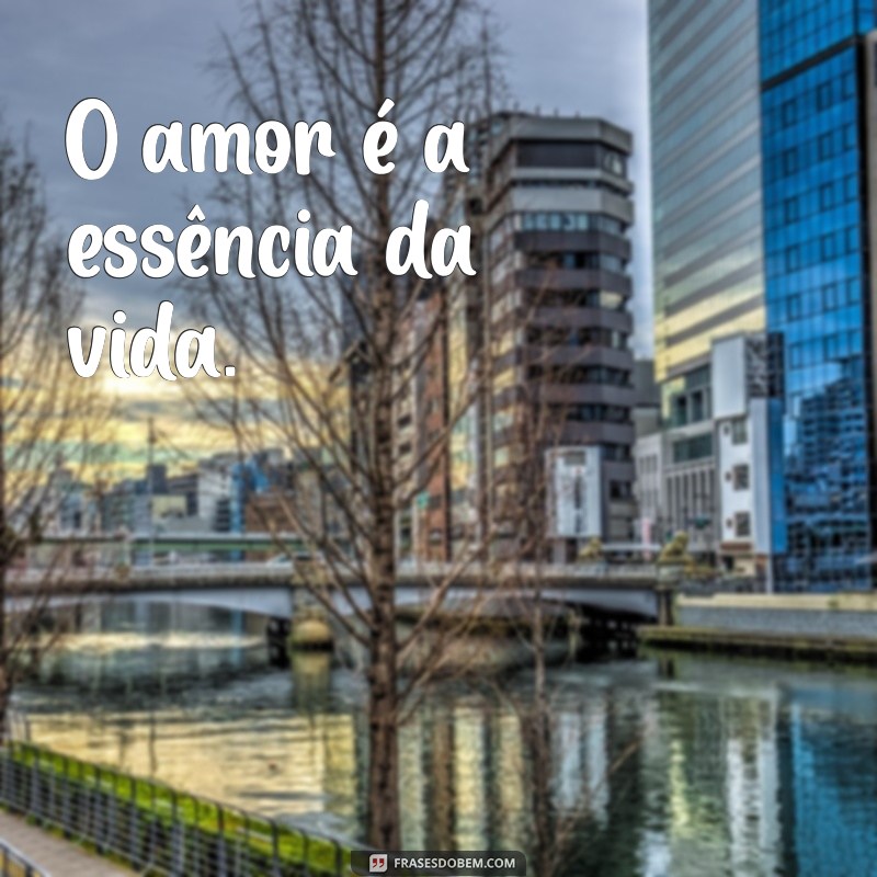 Frases Curtas de Vida: Inspirações que Transformam seu Dia 