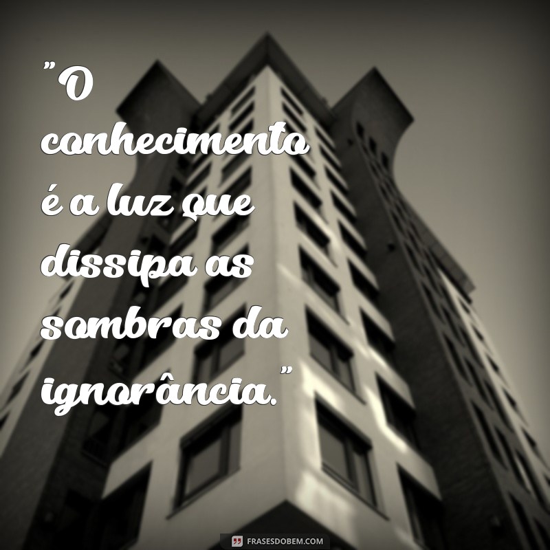 frases buscando conhecimento 