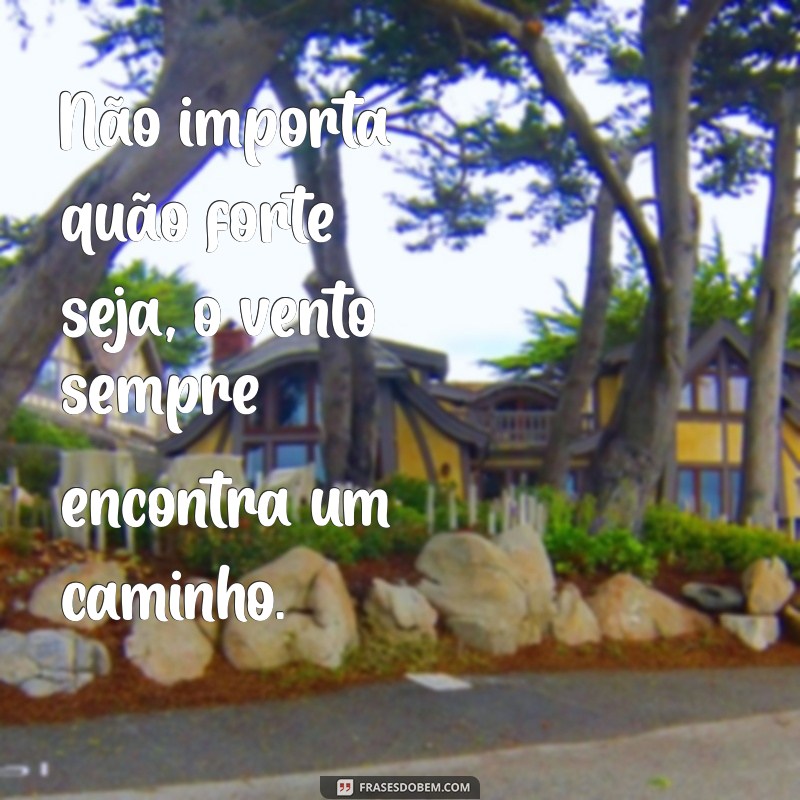 Frases Inspiradoras sobre o Vento: Reflexões e Poemas para Todos os Momentos 