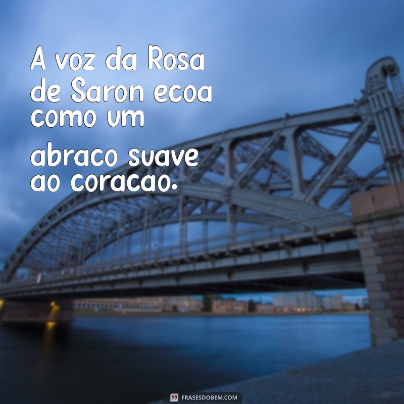 rosa de saron vocalista A voz da Rosa de Saron ecoa como um abraço suave ao coração.