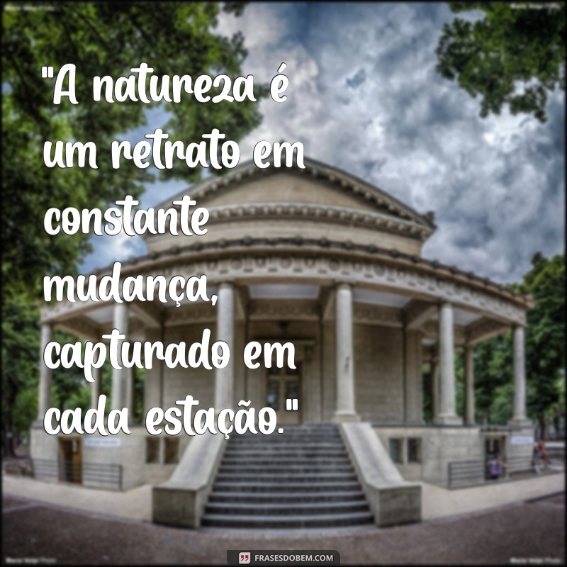 frases natureza foto 