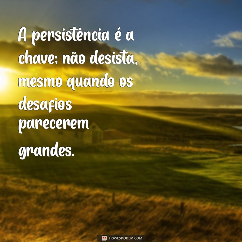 Persuasão Eficaz: Técnicas para Convencer e Influenciar com Sucesso 