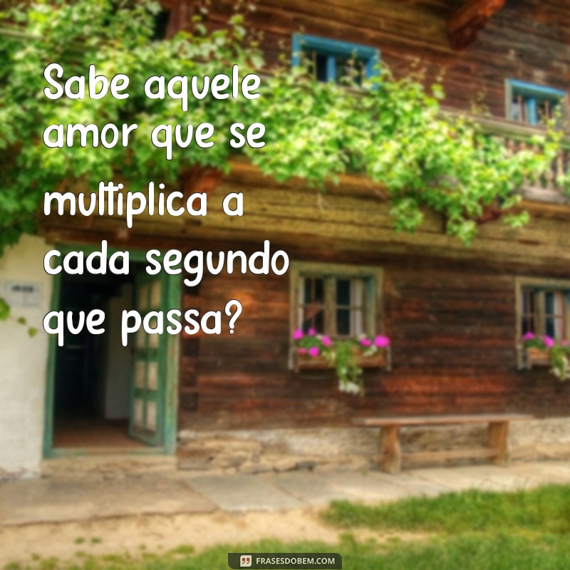 frases sabe aquele amor que se multiplica Sabe aquele amor que se multiplica a cada segundo que passa?