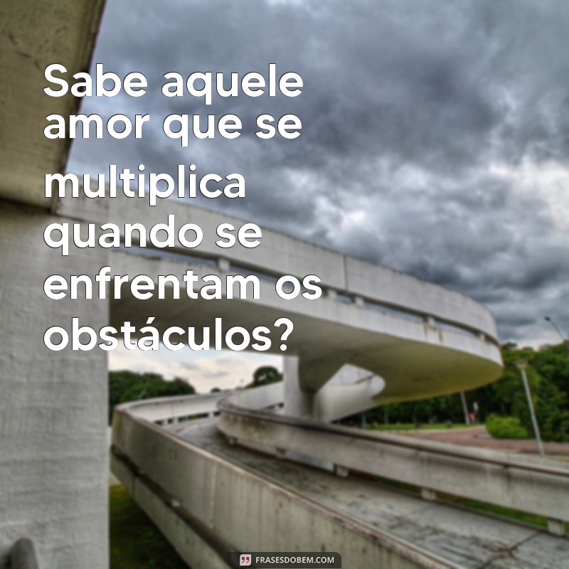 Descubra as melhores frases sobre o amor que se multiplica em seu coração 