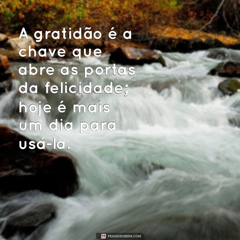 Frases Inspiradoras para Agradecer e Valorizar Cada Dia 