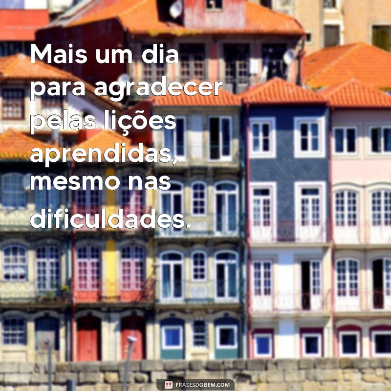 Frases Inspiradoras para Agradecer e Valorizar Cada Dia 