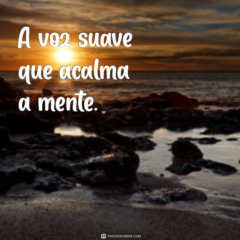 Como Identificar e Valorizar Pessoas que Trazem Paz à Sua Vida 