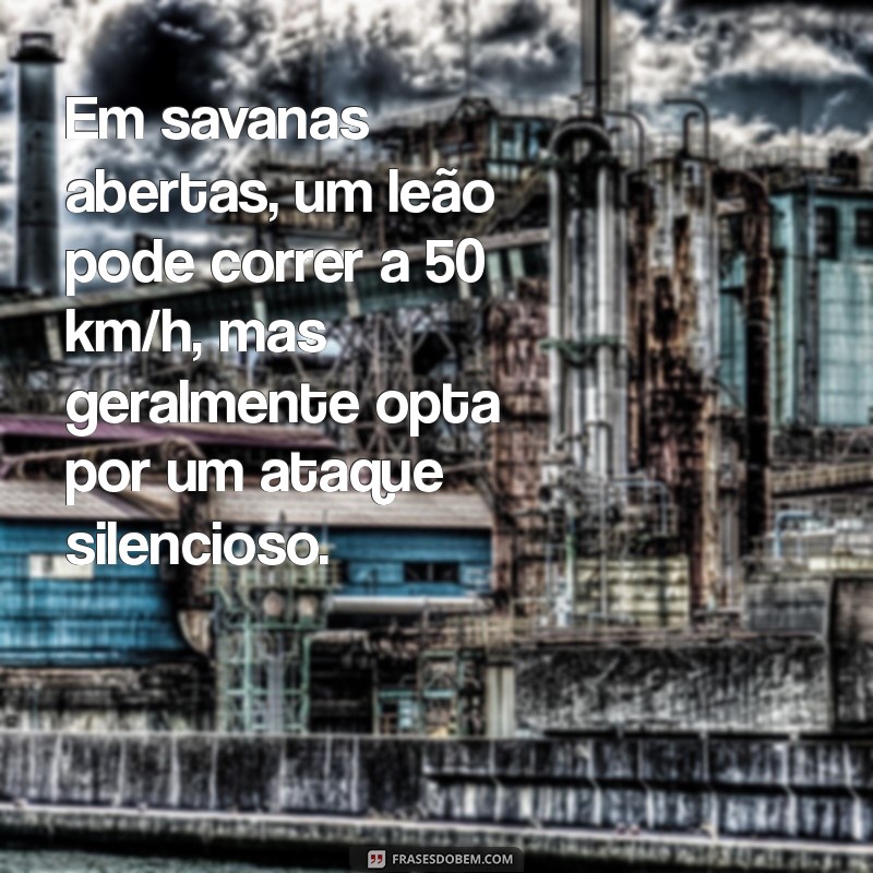 Descubra a Velocidade Surpreendente do Leão: Fatos e Curiosidades 