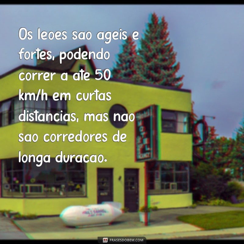 Descubra a Velocidade Surpreendente do Leão: Fatos e Curiosidades 