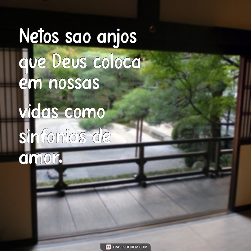 Netos: Os Anjos que Deus Enviou para Nossas Vidas 