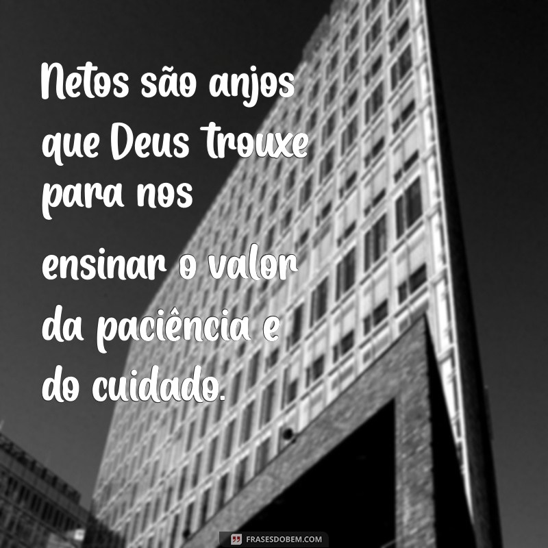 Netos: Os Anjos que Deus Enviou para Nossas Vidas 