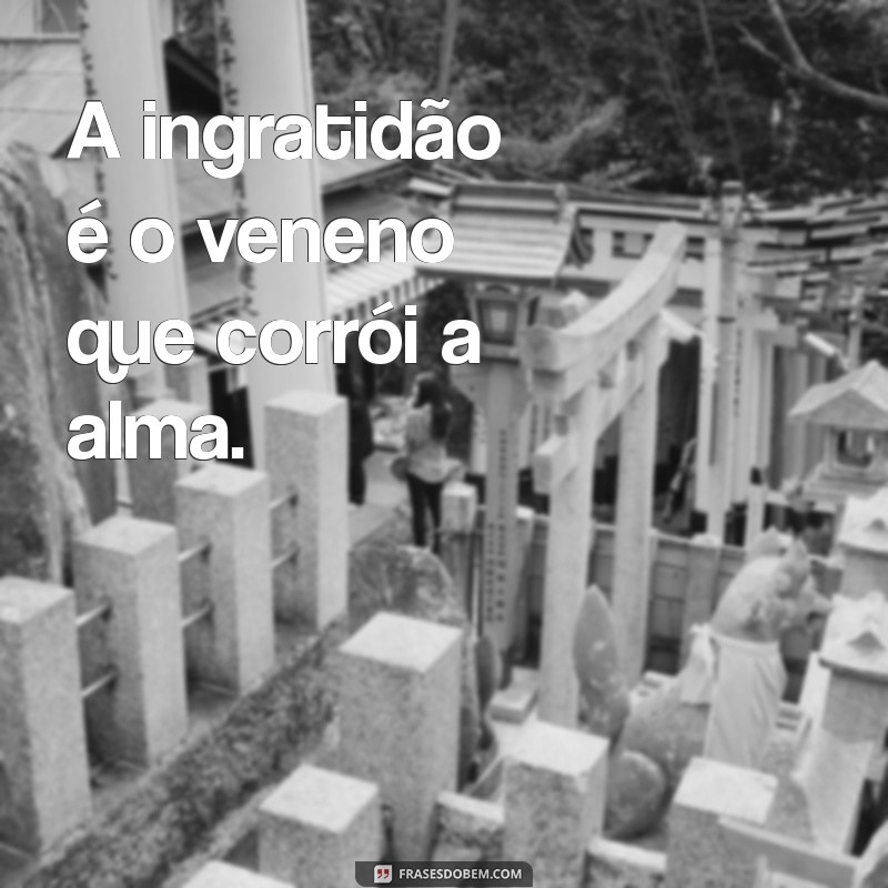 ingrato frases A ingratidão é o veneno que corrói a alma.