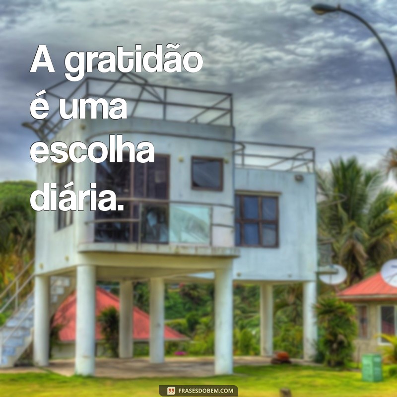 50 Frases Curtas sobre Gratidão para Inspirar sua Vida 