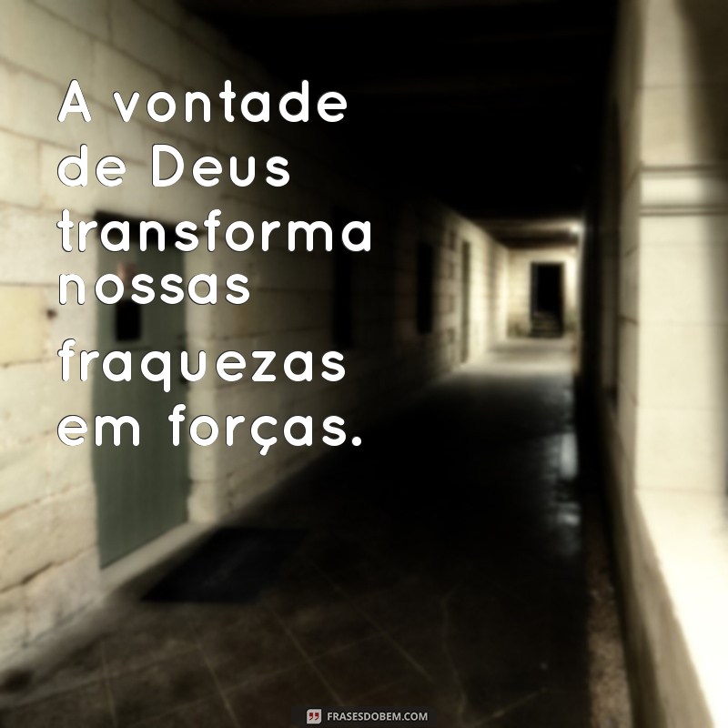 A Vontade de Deus: Entendendo Seu Propósito em Nossas Vidas 