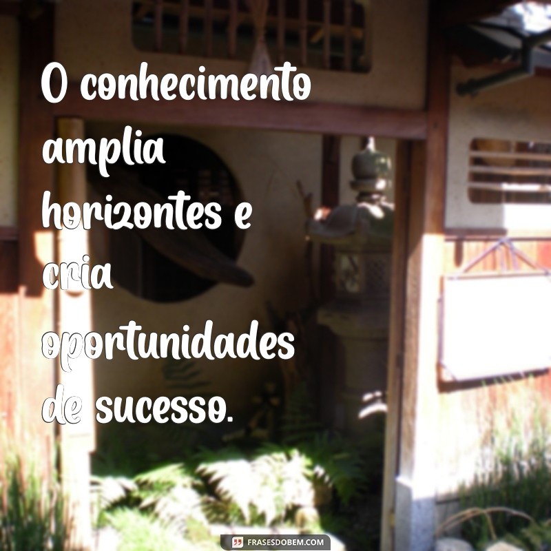 26 Frases Inspiradoras que Provam que Conhecimento é a Chave para o Sucesso 