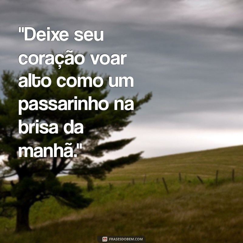 frases passarinho 