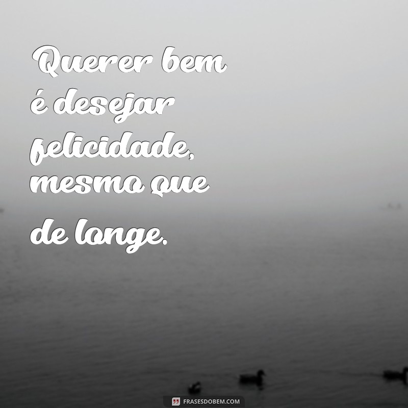 Frases Inspiradoras sobre Querer Bem: Reflexões para o Coração 