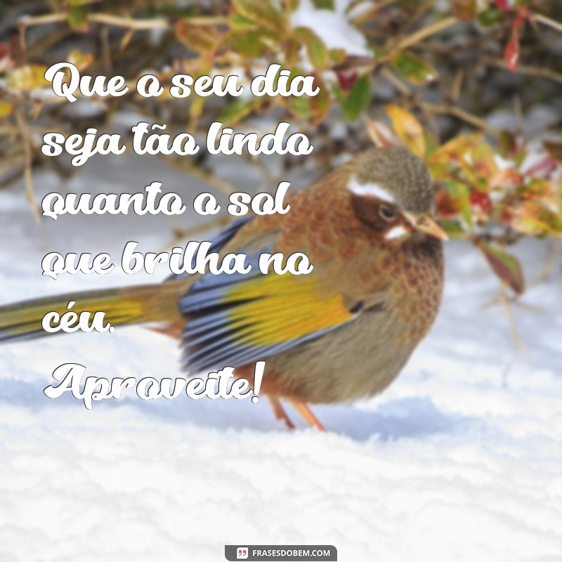 Textos de Bom Dia: Inspire Seu Dia com Mensagens Positivas 