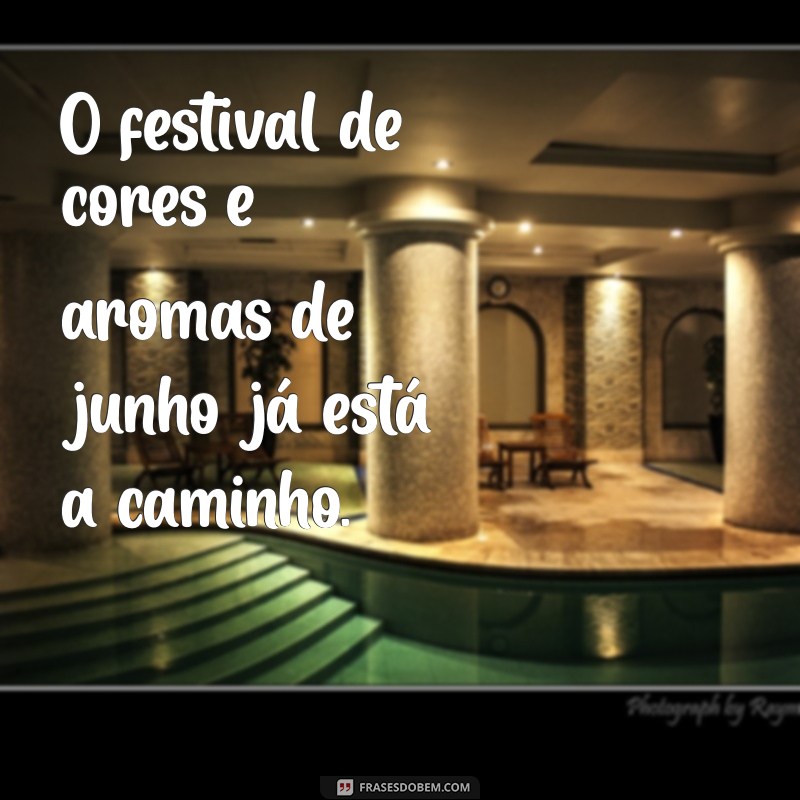 Frases Inspiradoras para Receber Junho com Positividade 