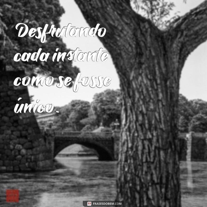 As Melhores Frases para Acompanhar Suas Fotos Bonitas e Encantar nas Redes Sociais 