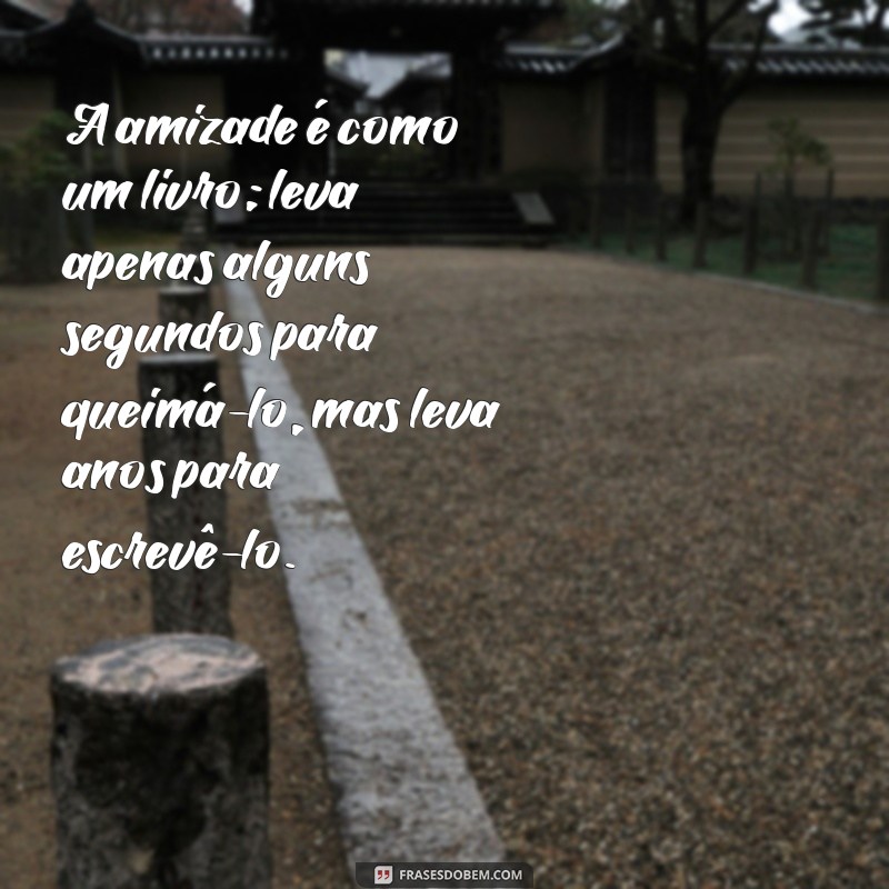 Frases Inspiradoras de Amizade em PNG: Compartilhe Amor e Alegria 