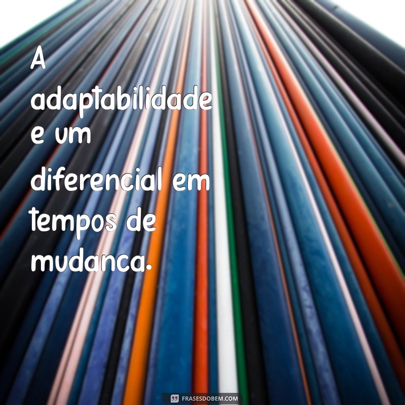 Frases Inspiradoras sobre Administração: Dicas para Liderar com Sucesso 