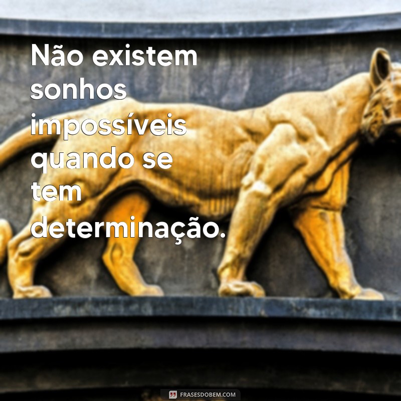 Encante seus contatos com as melhores frases bonitas para status de WhatsApp 