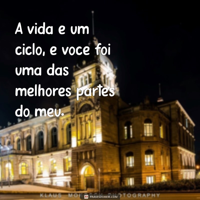 Como Lidar com a Saudade: Mensagens Emocionantes para Recordar Entes Queridos que Faleceu 