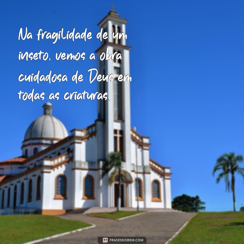 Frases Inspiradoras sobre Deus e a Beleza da Natureza 