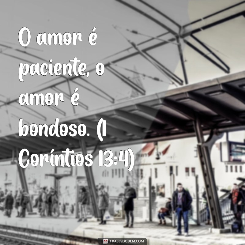 amor na bíblia O amor é paciente, o amor é bondoso. (1 Coríntios 13:4)