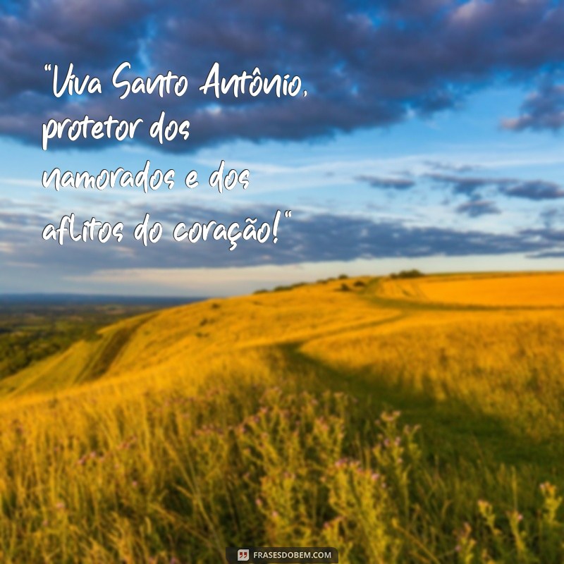 viva santo antonio frases 