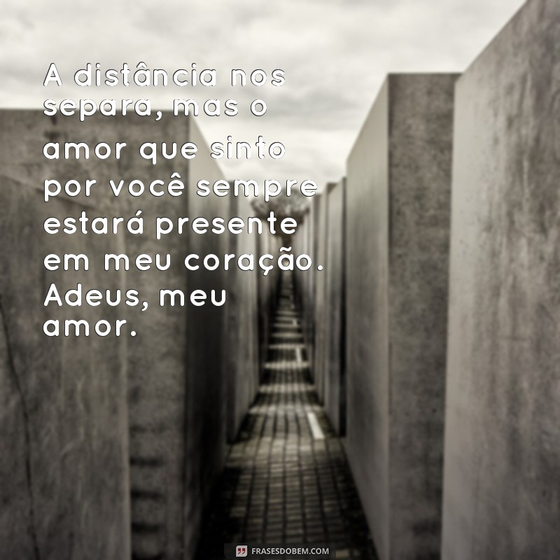 Descubra as mais emocionantes frases de despedida de amor para expressar seus sentimentos 