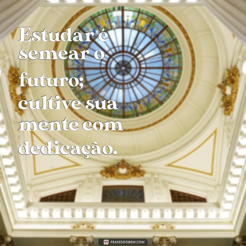 Frases Inspiradoras para Motivar Seus Estudos e Aumentar Seu Desempenho 