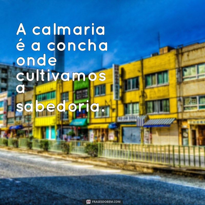 Frases Calmantes: Encontre a Serenidade em Palavras Inspiradoras 