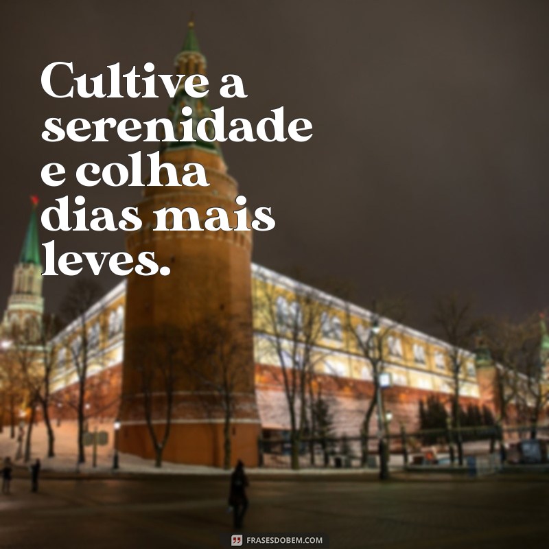 Frases Calmantes: Encontre a Serenidade em Palavras Inspiradoras 