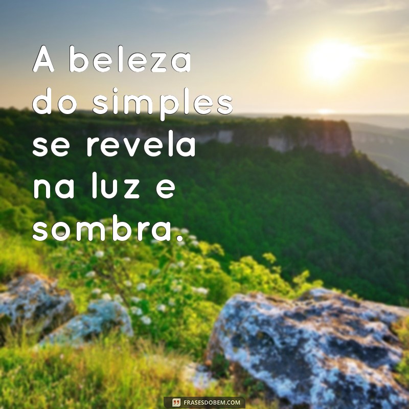 imagem preta e branca A beleza do simples se revela na luz e sombra.