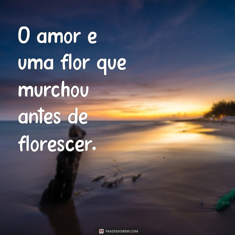 frases de amor tristes O amor é uma flor que murchou antes de florescer.