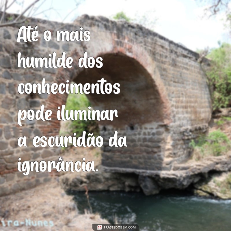 Frases Impactantes para Refletir Sobre a Ignorância 