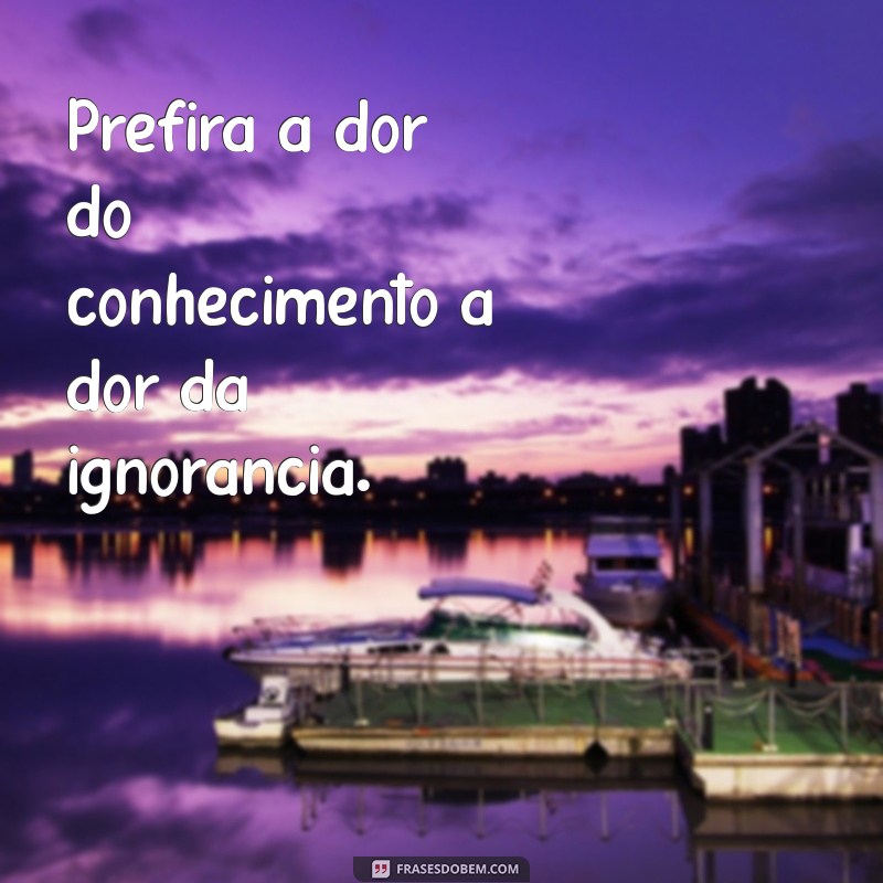 Frases Impactantes para Refletir Sobre a Ignorância 