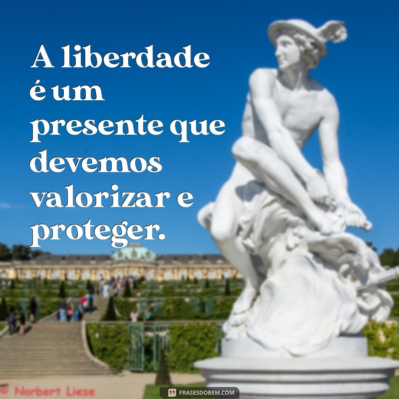 Liberdade: O Poder Transformador de Viver Sem Amarras 