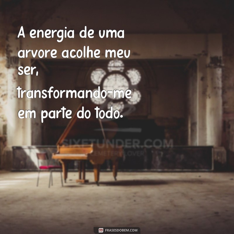 28 Frases Inspiradoras sobre Abraçar Árvores e Conectar-se com a Natureza 