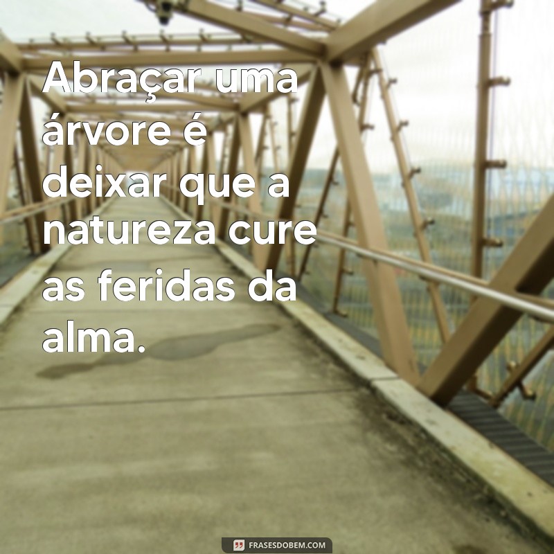 28 Frases Inspiradoras sobre Abraçar Árvores e Conectar-se com a Natureza 