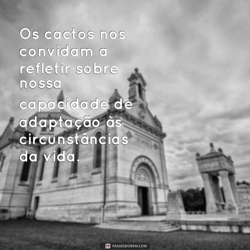 Descubra o verdadeiro significado por trás das frases inspiradoras dos cactos 