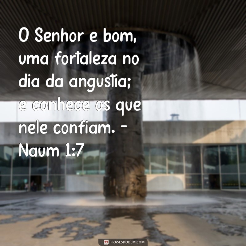 Frases Bíblicas Inspiradoras para Refletir Todos os Dias 