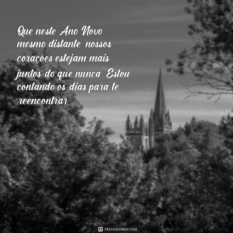 mensagem de ano novo para namorado que esta longe Que neste Ano Novo, mesmo distante, nossos corações estejam mais juntos do que nunca. Estou contando os dias para te reencontrar!