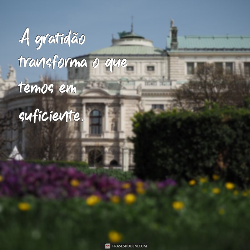 frases do dia curta A gratidão transforma o que temos em suficiente.