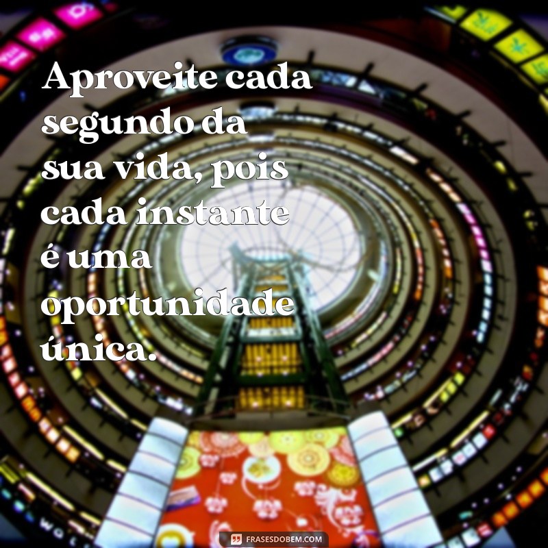 aproveite cada segundo da sua vida Aproveite cada segundo da sua vida, pois cada instante é uma oportunidade única.